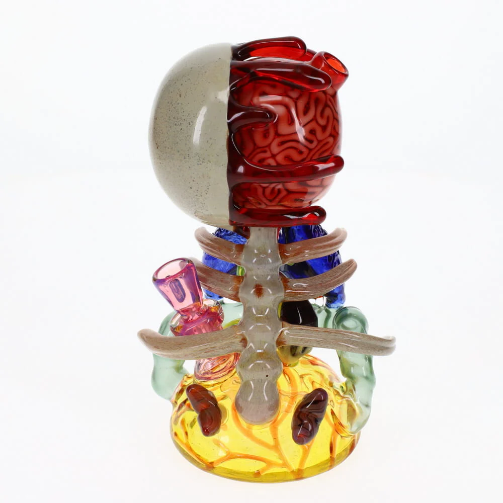 AKM Glass Deconstructed Anatomy Jammer - Image 3