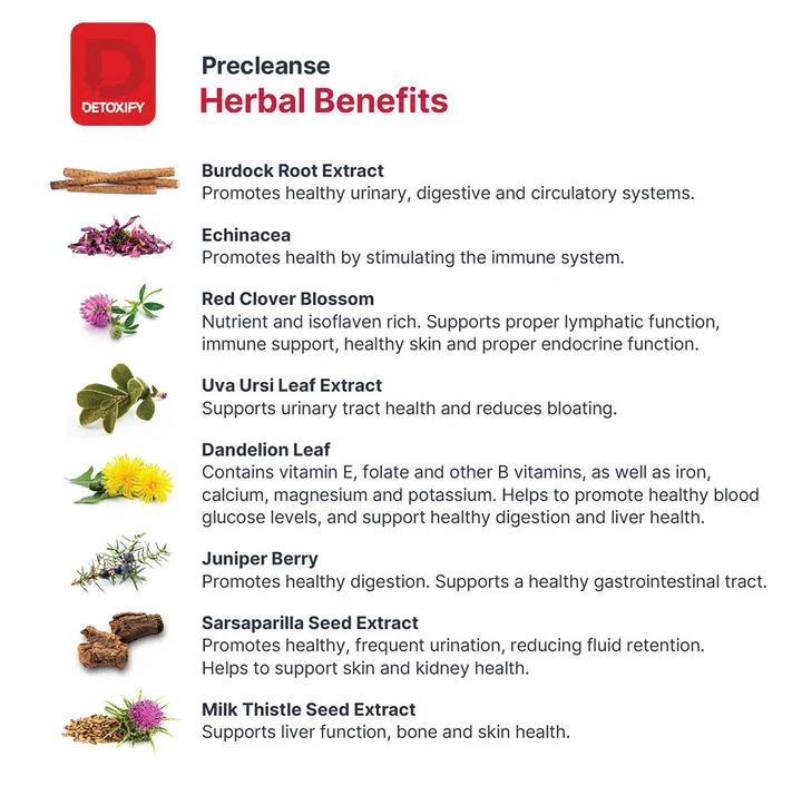 DETOXIFY Precleanse Herbal Supplement - Image 3