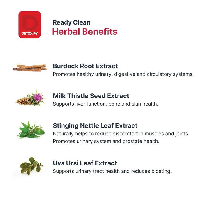 DETOXIFY Ready Clean Herbal Cleanse - Image 3