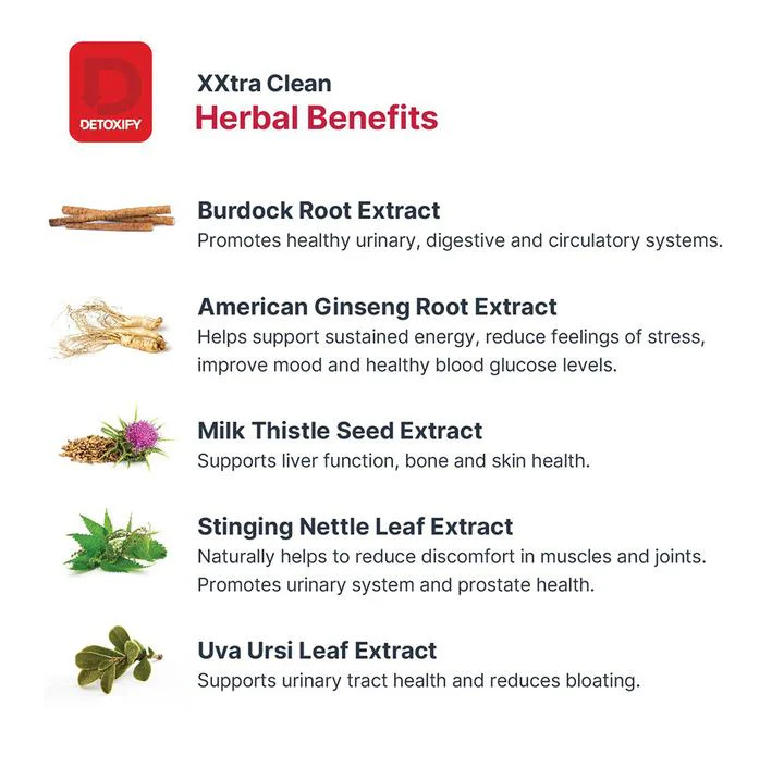 DETOXIFY XXtra Clean Herbal Cleanse - Image 3