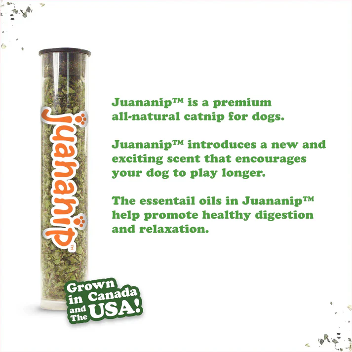 Doggijuana Tuffer Chewer Beer Mug Refillable Dog Toy - Image 3