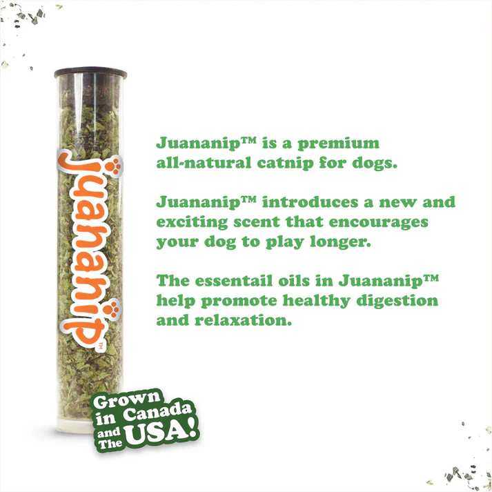 Doggijuana Tuffer Chewer Mini Chicken Wing Dog Toy - Image 2