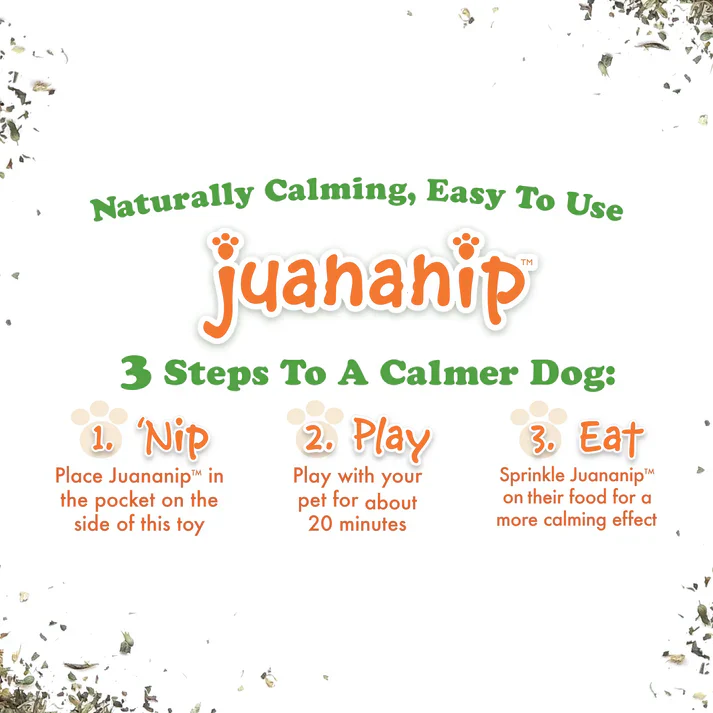 Doggijuana Tuffer Chewer Mini Chicken Wing Dog Toy - Image 4