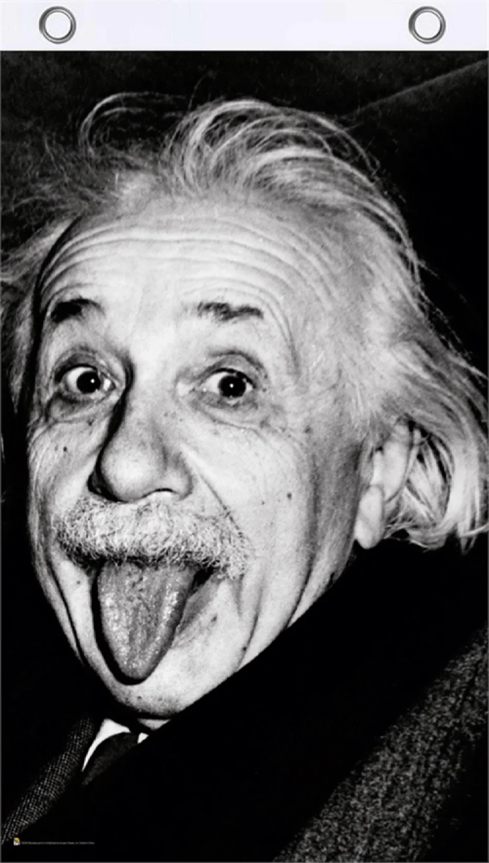 Einstein Tongue Flag 3'x5'