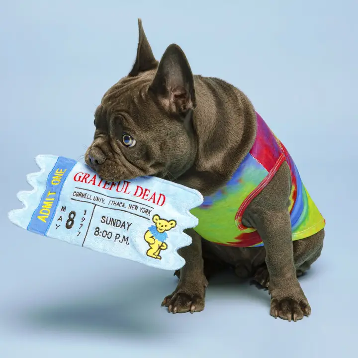 fabdog Grateful Dead Cornell '77 Concert Ticket Dog Toy - Image 2