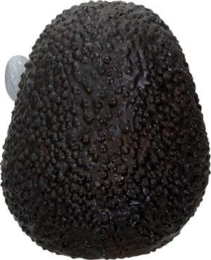 Furrybones® Hass - 2.75 inch - Image 3