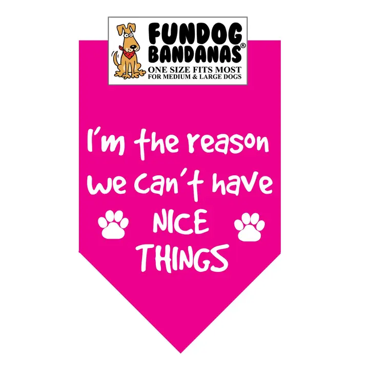 FunDog Bandanas I'm The Reason We Don't Have Nice Things Dog Bandana - Assorted Colors - Image 2