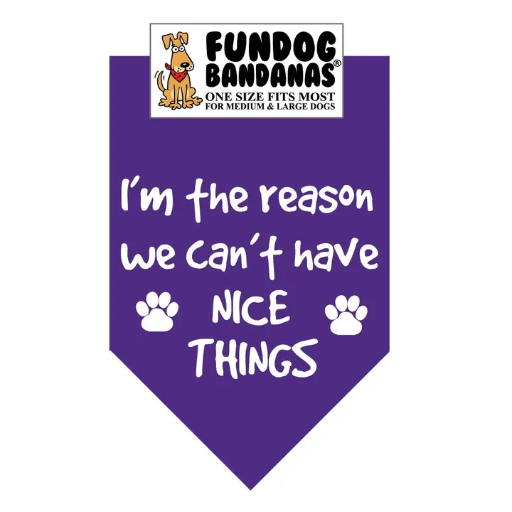FunDog Bandanas I'm The Reason We Don't Have Nice Things Dog Bandana - Assorted Colors - Image 3