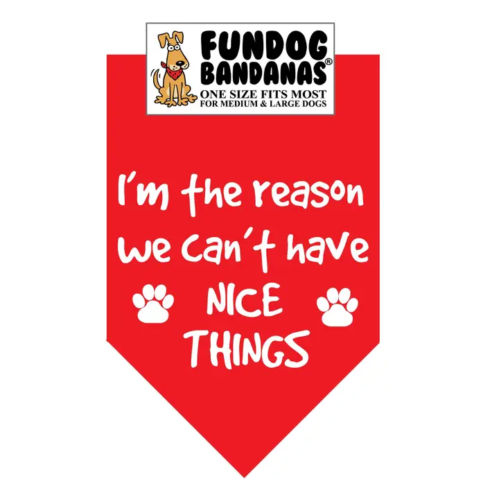 FunDog Bandanas I'm The Reason We Don't Have Nice Things Dog Bandana - Assorted Colors - Image 4