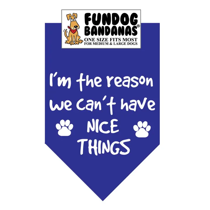 FunDog Bandanas I'm The Reason We Don't Have Nice Things Dog Bandana - Assorted Colors - Image 5