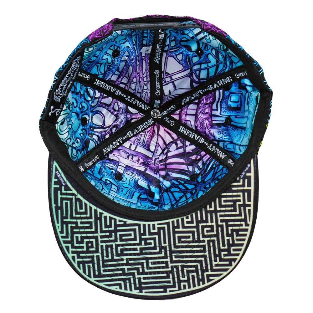 Grassroots California Avant Garde Glass Snapback Hat - Image 5