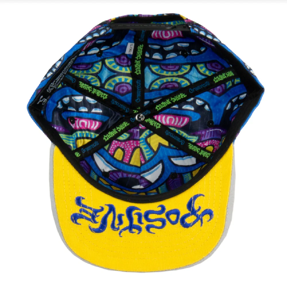 Grassroots California Chris Dyers Harmoneyes Blue Pattern Hat - Image 2