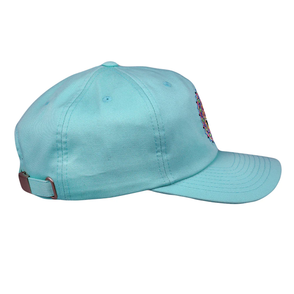 Grassroots California Frank Brothers Magically Delicious Seafoam Dad Hat - Image 3