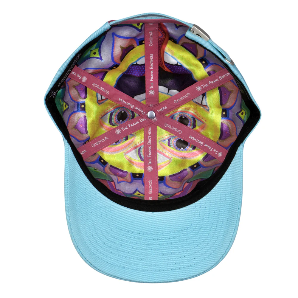 Grassroots California Frank Brothers Magically Delicious Seafoam Dad Hat - Image 5
