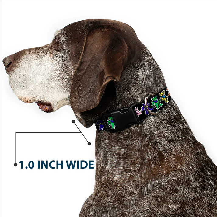 Grateful Dead Dancing Bears Dog Collar 1" inch Wide - Image 3