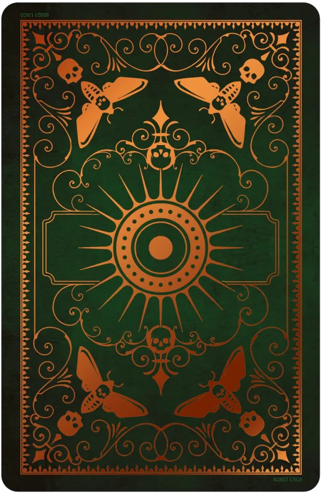 Mother Mort's Carnival of Souls Oracle Deck - Image 2