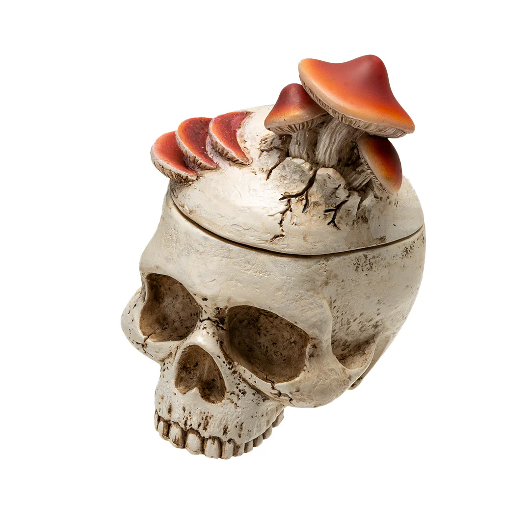 Mushroom Skull Stash Box - Image 5