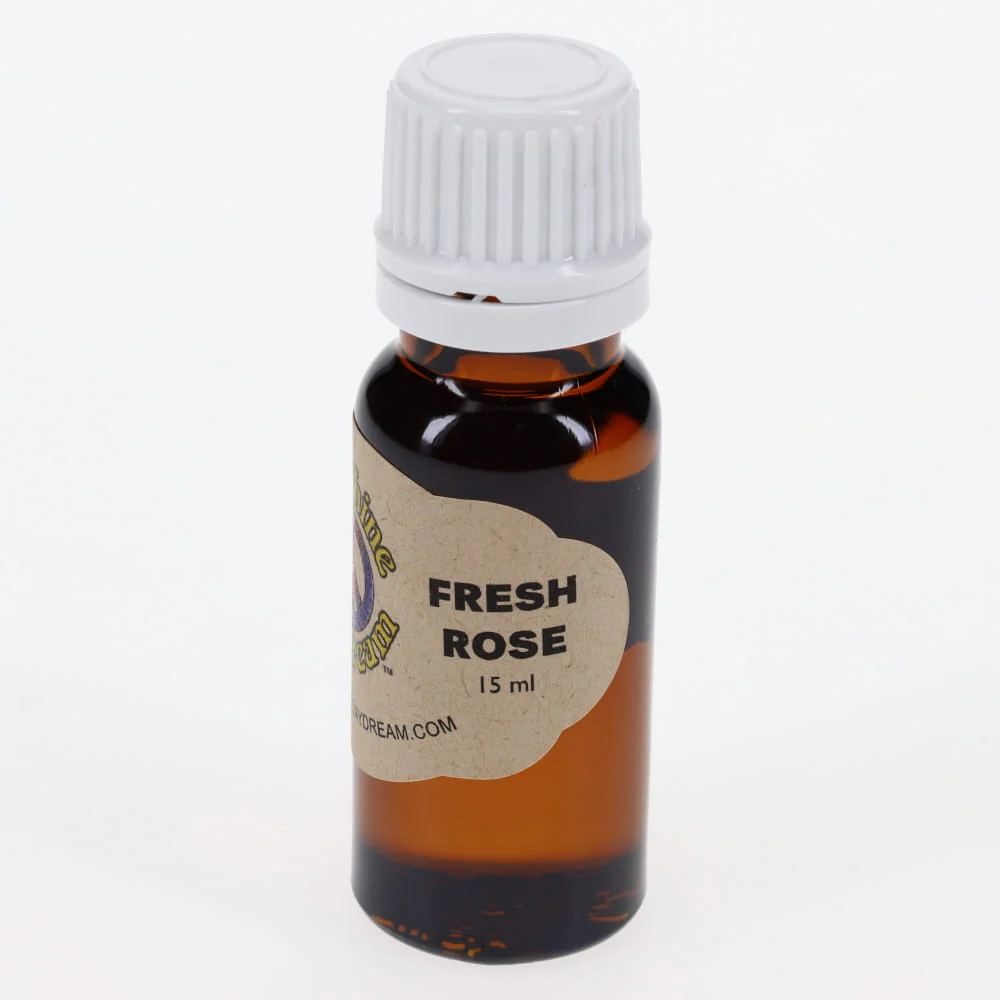 Fresh Rose Fragrance Oil 15ml - Image 2