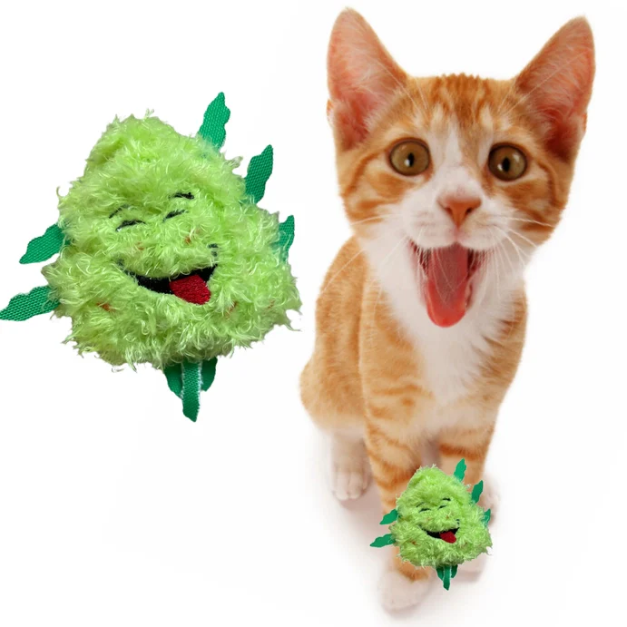 PAW:20 Catnip Cat Toy - Bud Jr. - Image 2