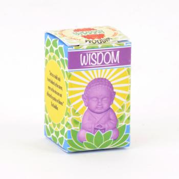 Pocket Buddha - Wisdom