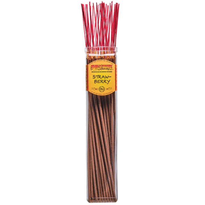 Strawberry Wild Berry BIGGIE Incense Sticks / 5