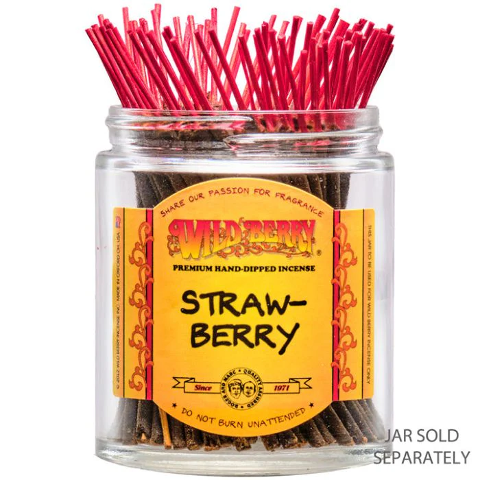 Strawberry Wild Berry Mini Incense Sticks