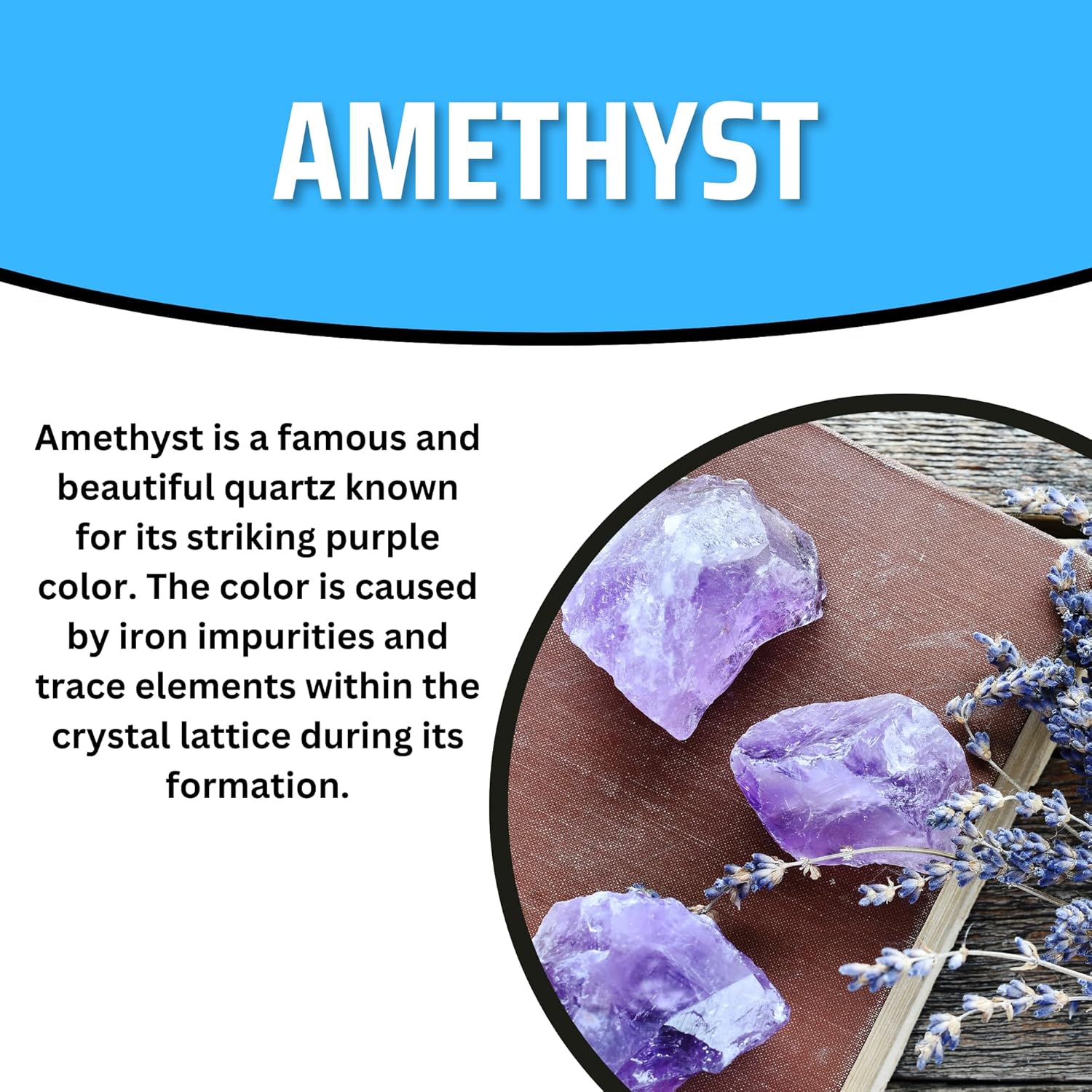 TruEnergy Amethyst Palm Stone - 2"-3" - Image 4