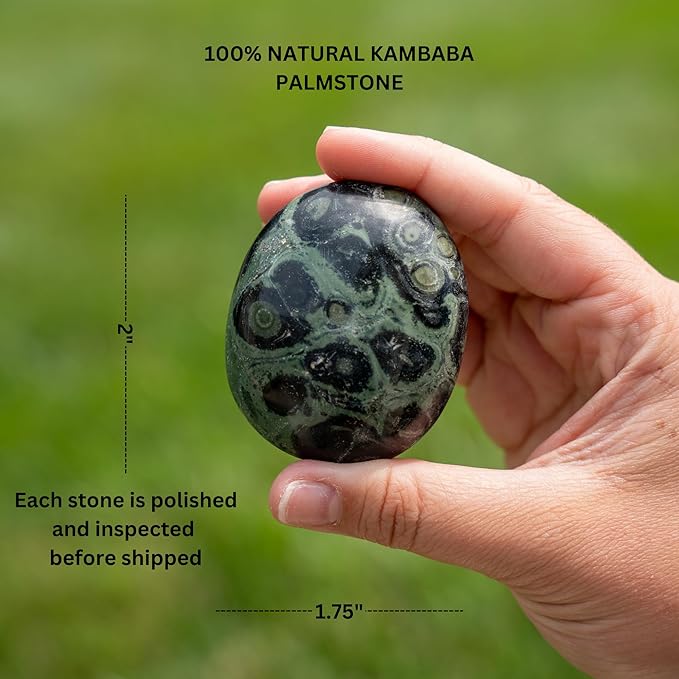 TruEnergy Kambaba Jasper Palm Stone - 2" - Image 3