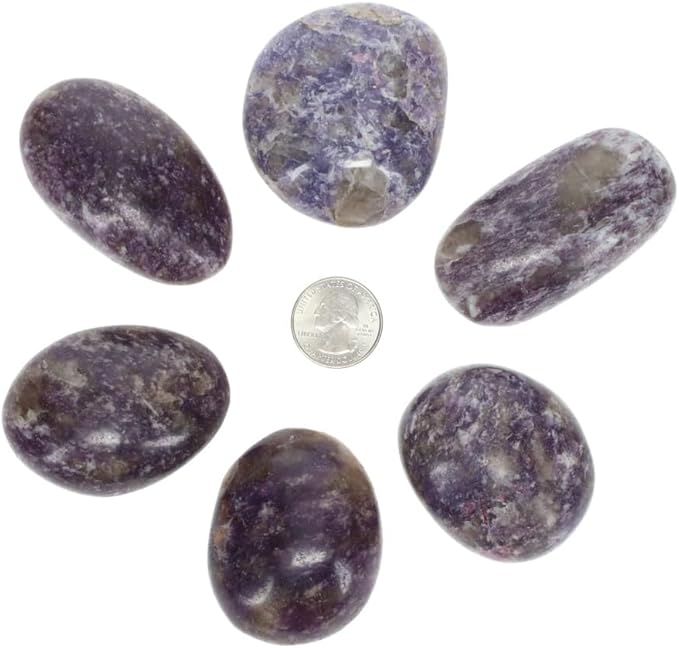TruEnergy Lepidolite Palm Stone - 2" - Image 4