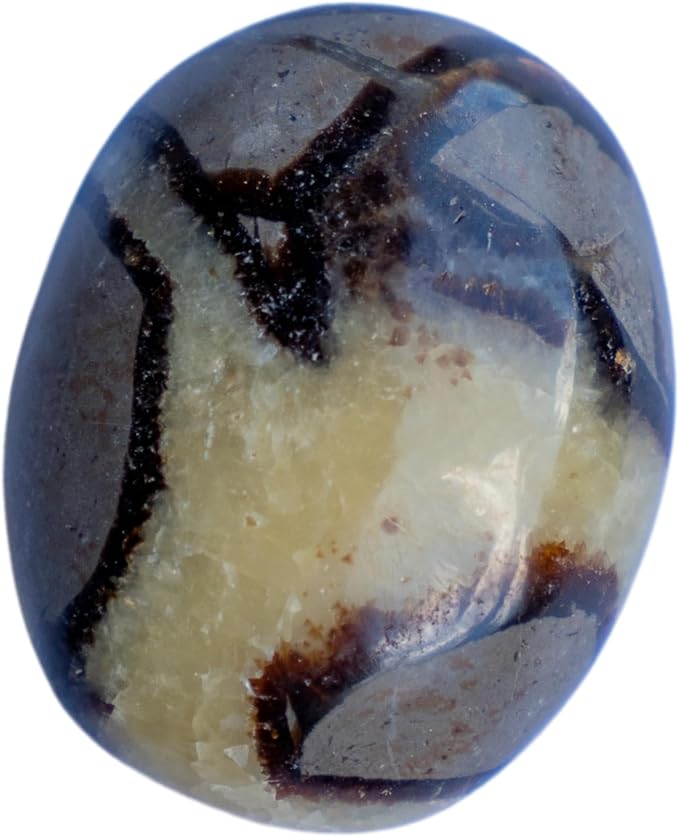 TruEnergy Septarian Palm Stone - 2" - Image 2