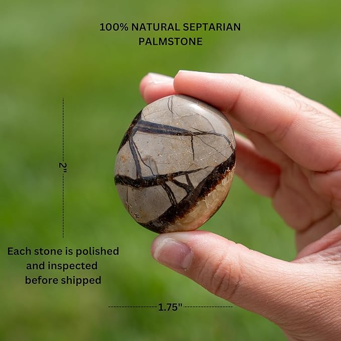 TruEnergy Septarian Palm Stone - 2" - Image 3