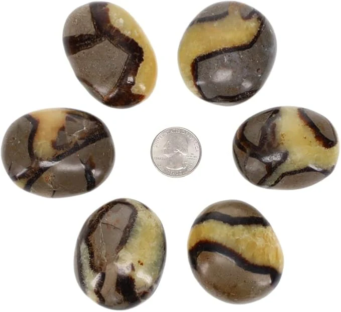 TruEnergy Septarian Palm Stone - 2" - Image 4